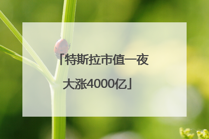 特斯拉市值一夜大涨4000亿