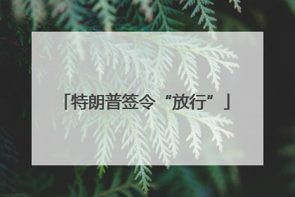 特朗普签令“放行”