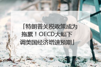 特朗普关税政策成为拖累！OECD大幅下调美国经济增速预期