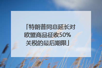 特朗普同意延长对欧盟商品征收50%关税的最后期限