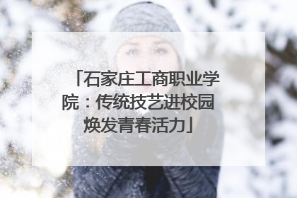 石家庄工商职业学院：传统技艺进校园焕发青春活力