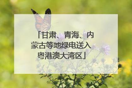 甘肃、青海、内蒙古等地绿电送入粤港澳大湾区