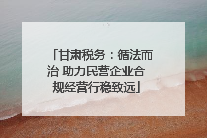 甘肃税务：循法而治 助力民营企业合规经营行稳致远