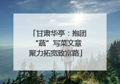 甘肃华亭：抱团“蔬”写菜文章 聚力拓宽致富路