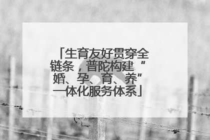 生育友好贯穿全链条，普陀构建“婚、孕、育、养”一体化服务体系