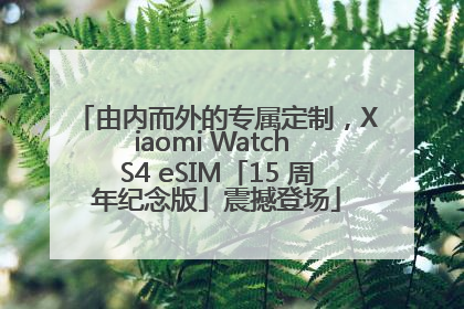 由内而外的专属定制，Xiaomi Watch S4 eSIM「15 周年纪念版」震撼登场
