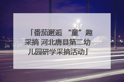 番茄邂逅 “童”趣采摘 河北唐县第二幼儿园研学采摘活动