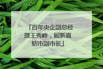 百年央企副总经理王秀峰，履新直辖市副市长