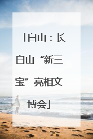 白山：长白山“新三宝”亮相文博会