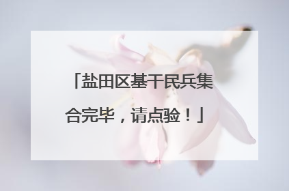 盐田区基干民兵集合完毕，请点验！