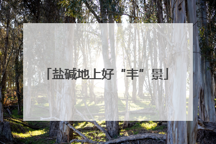 盐碱地上好“丰”景