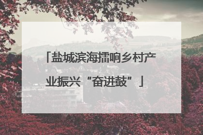 盐城滨海擂响乡村产业振兴“奋进鼓”