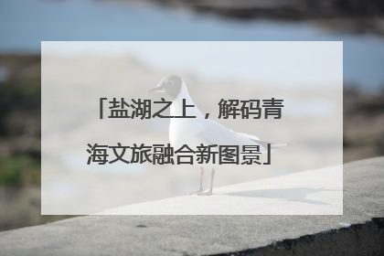 盐湖之上，解码青海文旅融合新图景