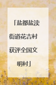 盐都盐渎街道花吉村获评全国文明村