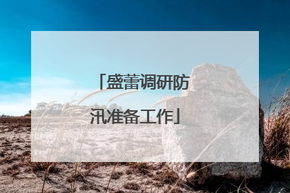 盛蕾调研防汛准备工作