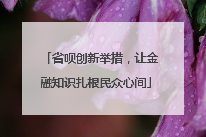 省呗创新举措，让金融知识扎根民众心间