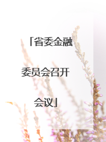 省委金融委员会召开会议