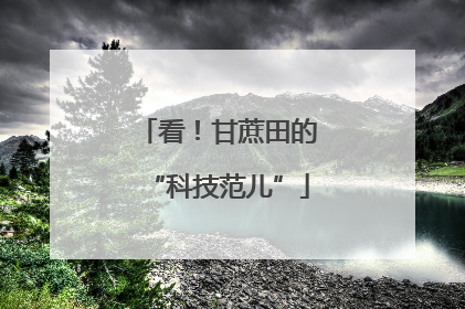 看！甘蔗田的“科技范儿”