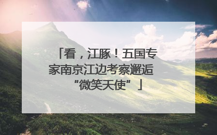 看，江豚！五国专家南京江边考察邂逅“微笑天使”