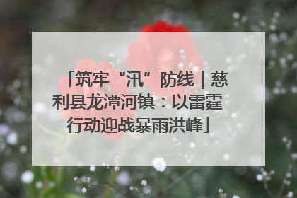 筑牢“汛”防线｜慈利县龙潭河镇：以雷霆行动迎战暴雨洪峰