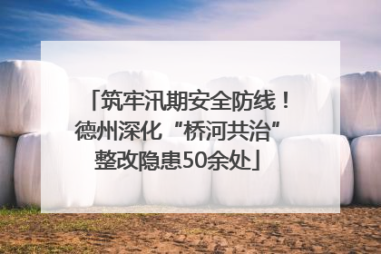 筑牢汛期安全防线！德州深化“桥河共治”整改隐患50余处