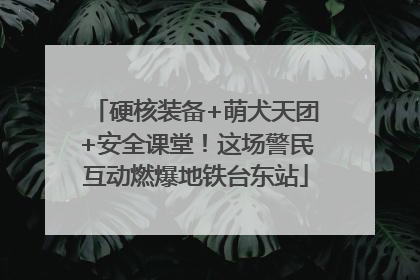 硬核装备+萌犬天团+安全课堂！这场警民互动燃爆地铁台东站