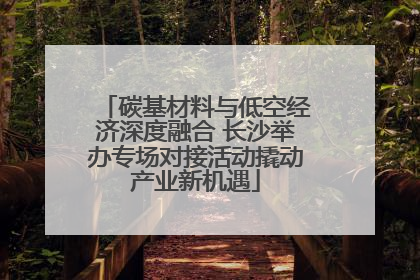 碳基材料与低空经济深度融合 长沙举办专场对接活动撬动产业新机遇