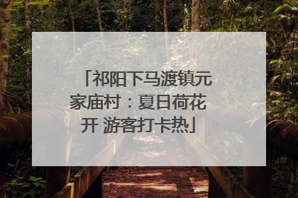 祁阳下马渡镇元家庙村：夏日荷花开 游客打卡热