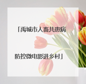 禹城市人畜共患病防控微电影进乡村