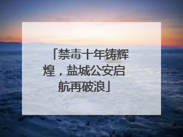 禁毒十年铸辉煌，盐城公安启航再破浪