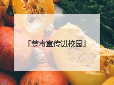 禁毒宣传进校园