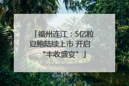 福州连江：5亿粒夏鲍陆续上市 开启“丰收盛宴”