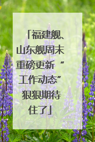 福建舰、山东舰周末重磅更新“工作动态” 狠狠期待住了