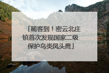稀客到！密云北庄镇首次发现国家二级保护鸟类凤头鹰