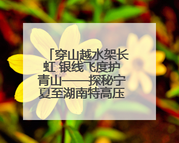 穿山越水架长虹 银线飞度护青山——探秘宁夏至湖南特高压工程陕西段建设现场