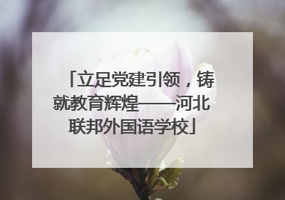 立足党建引领，铸就教育辉煌——河北联邦外国语学校