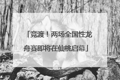 竞渡！两场全国性龙舟赛即将在仙桃启幕
