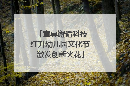 童真邂逅科技 红升幼儿园文化节激发创新火花