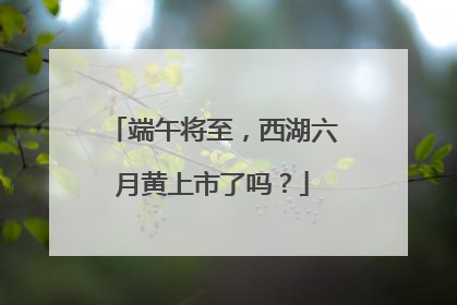 端午将至，西湖六月黄上市了吗？