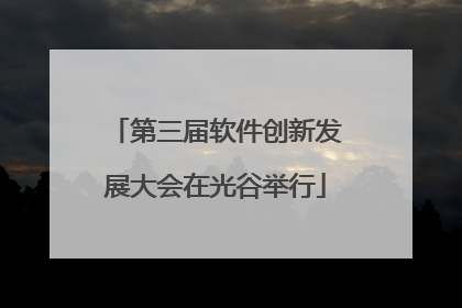 第三届软件创新发展大会在光谷举行