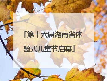 第十六届湖南省体验式儿童节启幕