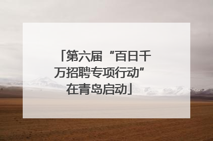 第六届“百日千万招聘专项行动”在青岛启动