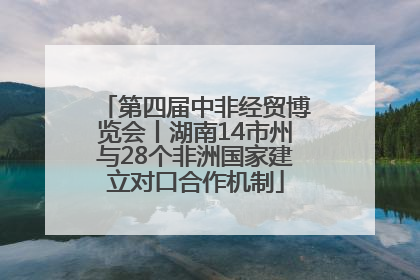 第四届中非经贸博览会丨湖南14市州与28个非洲国家建立对口合作机制