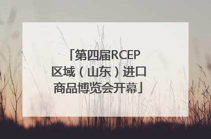 第四届RCEP区域（山东）进口商品博览会开幕