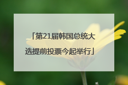 第21届韩国总统大选提前投票今起举行