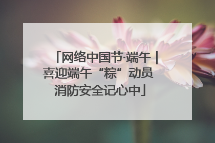网络中国节·端午｜喜迎端午“粽”动员 消防安全记心中