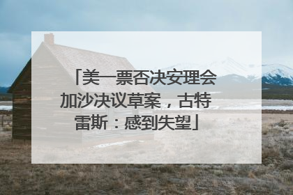 美一票否决安理会加沙决议草案，古特雷斯：感到失望