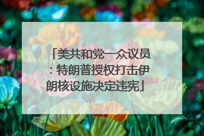 美共和党一众议员：特朗普授权打击伊朗核设施决定违宪