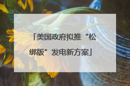 美国政府拟推“松绑版”发电新方案
