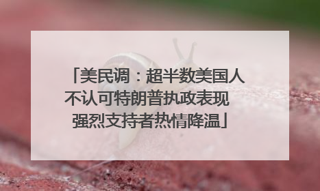 美民调：超半数美国人不认可特朗普执政表现 强烈支持者热情降温
